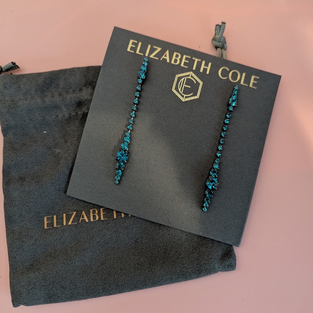 Blue Turquoise Drop Earrings